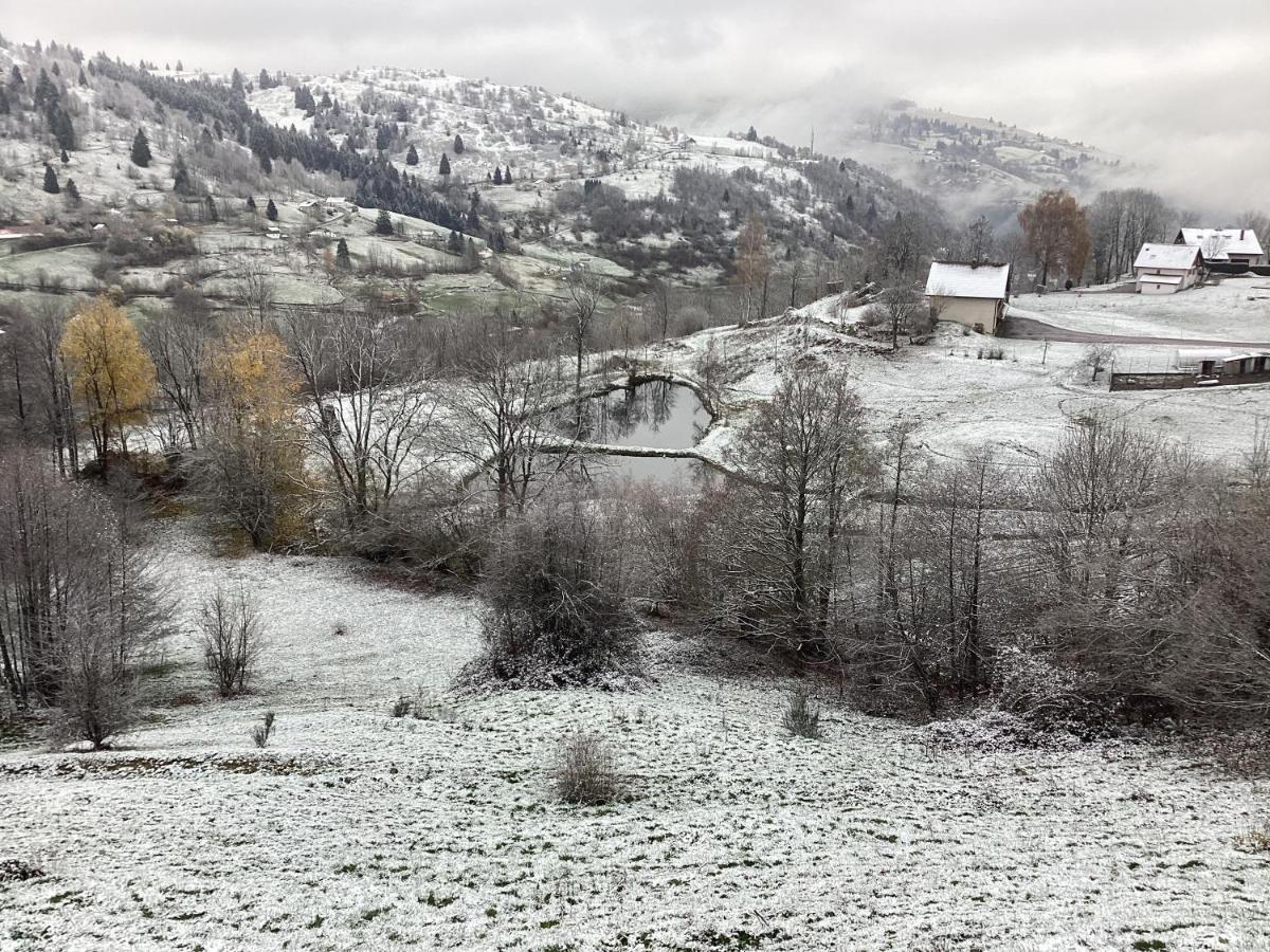 Les Chalets Bambi & Jacuzzi Privatif La Bresse Εξωτερικό φωτογραφία