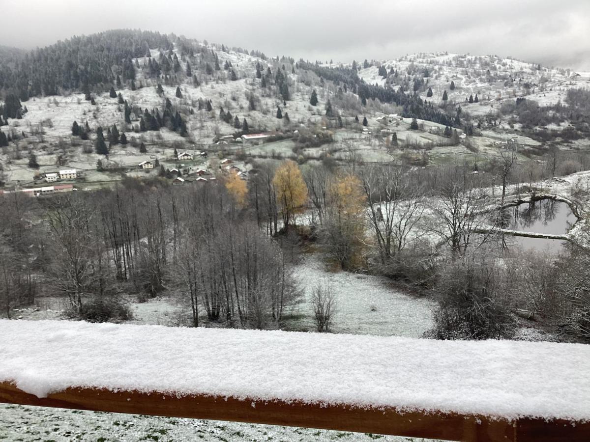 Les Chalets Bambi & Jacuzzi Privatif La Bresse Εξωτερικό φωτογραφία