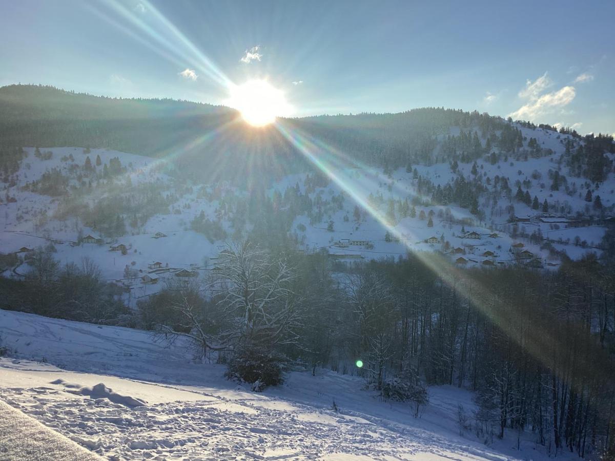 Les Chalets Bambi & Jacuzzi Privatif La Bresse Εξωτερικό φωτογραφία