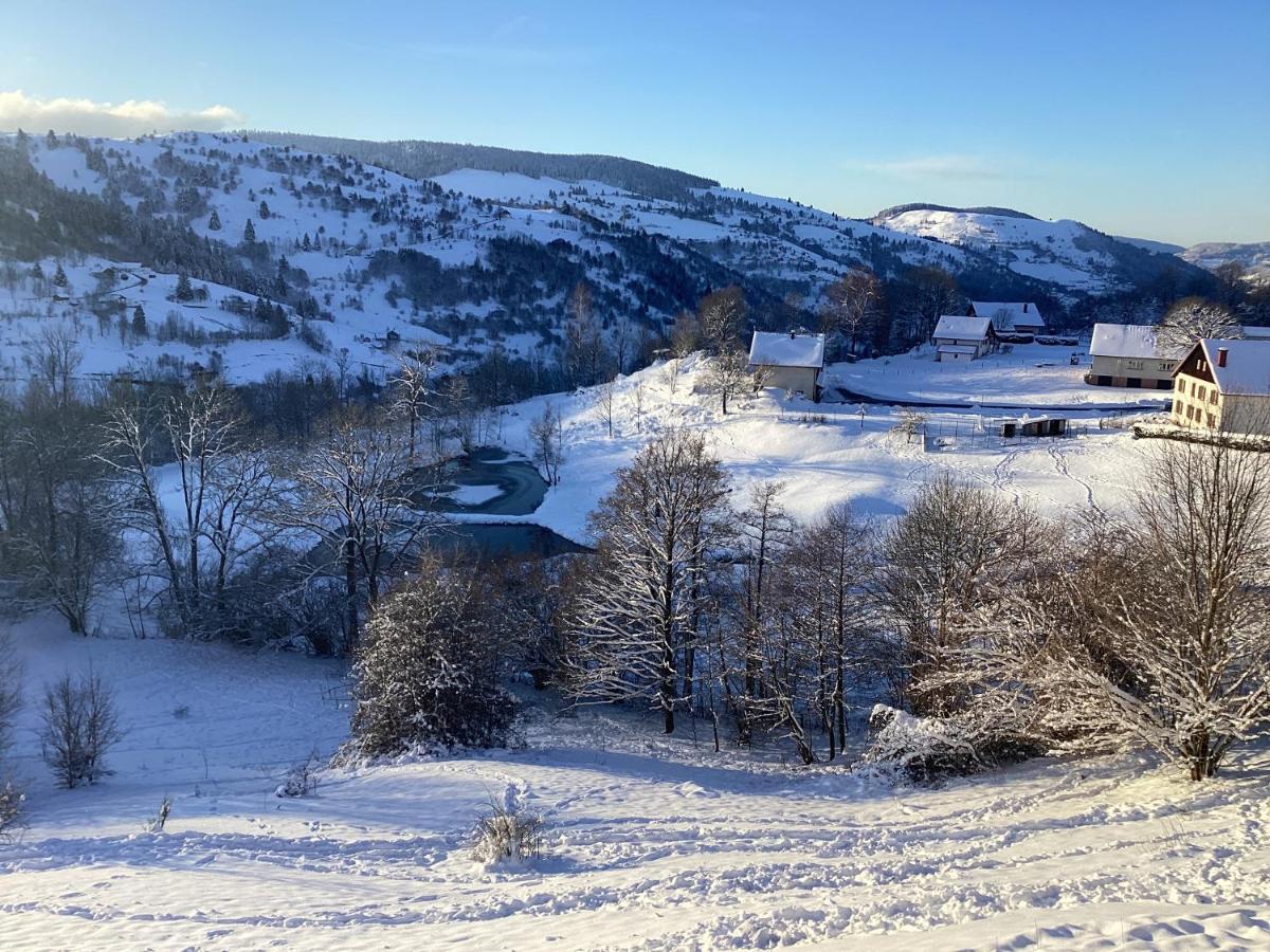 Les Chalets Bambi & Jacuzzi Privatif La Bresse Εξωτερικό φωτογραφία